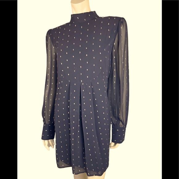 Catherine Malandrino Dresses & Skirts - NWOT Catherine Malandrino Black/Platinum Chiffon Babydoll Dress Size 12